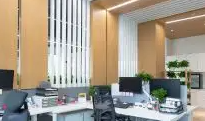 为什么选择秋葵视频IOS下载安装IOS公司进行网络营销和形象宣传？