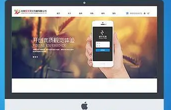 打造创新教育体验：教育培训秋葵视频IOS下载安装IOS的关键步骤