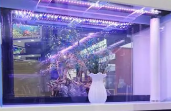 高端品牌秋葵视频IOS下载安装IOS卓越体验的窗口与认可的平台